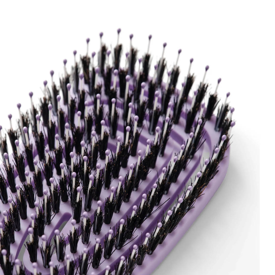 Bratt Peniculus Flexibrush Combo 12 PIÈCES Présentoir - Couleurs Assorties